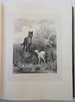 `Басни Лафонтена с рисунками Доре (Fables de La Fontaine avec les dessins de Gustave Dore)` . Paris, 1867 г.