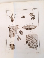 `Oeuvres d'histoire naturelle et de philosophie de Charles Bonnet...(Труды по естественной истории и философии Шарля Бонне ...)` Charles Bonnet (Шарль Бонне). Neuchatel, Chez S. Fauche, 1783 (Невшатель, 1783 г.)