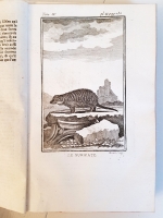 `Histoire naturelle, general et particuliere. Tome Quatrieme (Естествознание, общее и частное) Т.4` M.de Buffon. A Paris, M.DCC.LXXII (1772)