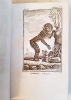 `Histoire naturelle, general et particuliere. Tome Quatrieme (Естествознание, общее и частное) Т.4` M.de Buffon. A Paris, M.DCC.LXXII (1772)