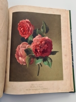 `Nestel`s Rosengarten. [  Сад роз Нестела]` E. Schweizerbart'sche Verlagshandlung. Stuttgart,  1866 - 1869
