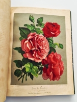 `Nestel`s Rosengarten. [  Сад роз Нестела]` E. Schweizerbart'sche Verlagshandlung. Stuttgart,  1866 - 1869