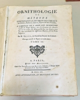 `Ornithologie ou methode contenant la division des oiseaux en ordres, sections, genres, especes Leurs varits (Орнитология или метод, содержащий разделение птиц на отряды, секции, роды, виды, их разновидности)` Mathurin-Jacques Brisson (Матюрен-Жак Бриссон). A Paris, Quay des Augustins, Chez Cl.Jeans-Baptiste Bauche, Libraire, M.DCC.LX (1760 г.)