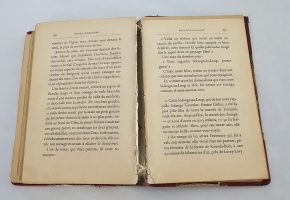 `Notre Compagne (provinciales et parisiennes). Наш спутник (провинциальный и парижский)` Marcel Prevost (Марсель Прево). Edite par Alphonse lemerre editeur, 1895 г.