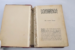 `Notre Compagne (provinciales et parisiennes). Наш спутник (провинциальный и парижский)` Marcel Prevost (Марсель Прево). Edite par Alphonse lemerre editeur, 1895 г.
