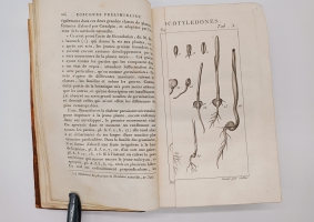 `Exposition des familles naturelles et de la Germination des plates. Tome 1 (Изложение природных семейств и всхожести растений)` Jaume S-t Hilaire (Жауме с-т Илер). Paris, Chez Treuttel и Würtz, 1805
