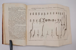 `Exposition des familles naturelles et de la Germination des plates. Tome 1 (Изложение природных семейств и всхожести растений)` Jaume S-t Hilaire (Жауме с-т Илер). Paris, Chez Treuttel и Würtz, 1805