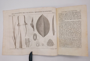 `Exposition des familles naturelles et de la Germination des plates. Tome 1 (Изложение природных семейств и всхожести растений)` Jaume S-t Hilaire (Жауме с-т Илер). Paris, Chez Treuttel и Würtz, 1805