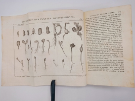 `Exposition des familles naturelles et de la Germination des plates. Tome 1 (Изложение природных семейств и всхожести растений)` Jaume S-t Hilaire (Жауме с-т Илер). Paris, Chez Treuttel и Würtz, 1805