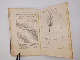 `Exposition des familles naturelles et de la Germination des plates. Tome 1 (Изложение природных семейств и всхожести растений)` Jaume S-t Hilaire (Жауме с-т Илер). Paris, Chez Treuttel и Würtz, 1805