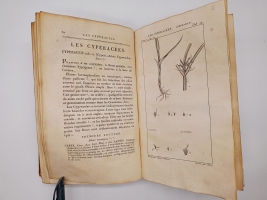 `Exposition des familles naturelles et de la Germination des plates. Tome 1 (Изложение природных семейств и всхожести растений)` Jaume S-t Hilaire (Жауме с-т Илер). Paris, Chez Treuttel и Würtz, 1805