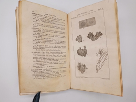 `Exposition des familles naturelles et de la Germination des plates. Tome 1 (Изложение природных семейств и всхожести растений)` Jaume S-t Hilaire (Жауме с-т Илер). Paris, Chez Treuttel и Würtz, 1805