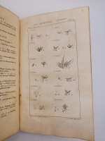 `Exposition des familles naturelles et de la Germination des plates. Tome 1 (Изложение природных семейств и всхожести растений)` Jaume S-t Hilaire (Жауме с-т Илер). Paris, Chez Treuttel и Würtz, 1805