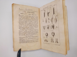 `Exposition des familles naturelles et de la Germination des plates. Tome 1 (Изложение природных семейств и всхожести растений)` Jaume S-t Hilaire (Жауме с-т Илер). Paris, Chez Treuttel и Würtz, 1805
