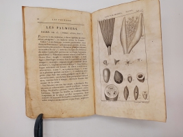 `Exposition des familles naturelles et de la Germination des plates. Tome 1 (Изложение природных семейств и всхожести растений)` Jaume S-t Hilaire (Жауме с-т Илер). Paris, Chez Treuttel и Würtz, 1805