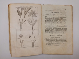 `Exposition des familles naturelles et de la Germination des plates. Tome 1 (Изложение природных семейств и всхожести растений)` Jaume S-t Hilaire (Жауме с-т Илер). Paris, Chez Treuttel и Würtz, 1805