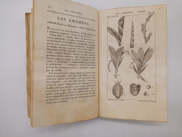 `Exposition des familles naturelles et de la Germination des plates. Tome 1 (Изложение природных семейств и всхожести растений)` Jaume S-t Hilaire (Жауме с-т Илер). Paris, Chez Treuttel и Würtz, 1805