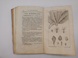 `Exposition des familles naturelles et de la Germination des plates. Tome 1 (Изложение природных семейств и всхожести растений)` Jaume S-t Hilaire (Жауме с-т Илер). Paris, Chez Treuttel и Würtz, 1805