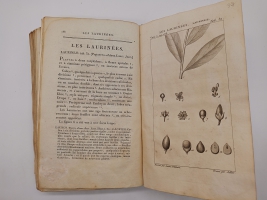 `Exposition des familles naturelles et de la Germination des plates. Tome 1 (Изложение природных семейств и всхожести растений)` Jaume S-t Hilaire (Жауме с-т Илер). Paris, Chez Treuttel и Würtz, 1805
