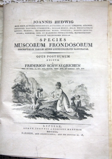 Описание различных видов мхов, с 77 гравюрами на меди, раскрашенных в цвете (Species muscorum frondosorum descriptae et tabulis aeneis LXXVII coloratis illustratae). Лейпциг, 1801 г.