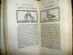 `История животных (Histoire des animaux)` . Гамбург,  1799 г.