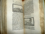 `История животных (Histoire des animaux)` . Гамбург,  1799 г.
