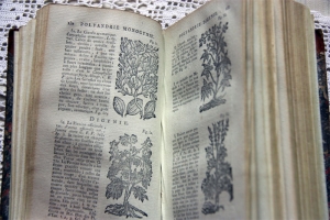 `Histoire des plantes d` Jean - Emmanuel Gilibert. A Lyon, 1798