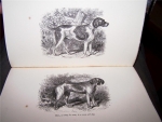 `The MOOR and the LOCH. CONTAINING  MINUTE INSTRUCTIONS IN ALL HIGHLAND SPORTS (Сomplete in 2 volumes)` JOHN COLQUHOUN. 1878 год, Эдинбург и Лондон