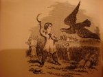 `A familiar history of BIRDS` Edward Stanley. 1865, London