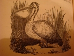 `A familiar history of BIRDS` Edward Stanley. 1865, London