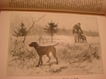 `Diezels Niederjagd (охота)` Diezels Niederjagd. 1903, Berlin