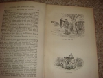 `Hunting Notes in Shropshire and Cheshire, 1884-85. With illustrations` Borderer. 1885 год, Лондон