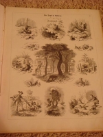 `Die Jagd in Bildern (Охота в картинках)` Max Heider. 1862, Мюнхен