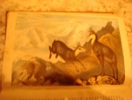 `Wild sports of the world: a book natural history and adventure` James Greenwood. 1862, Лондон, S.O. Beeton, 248, Strand, W.C.