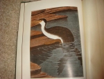 `The Bird its form and function` William Beebe. 1906, NY