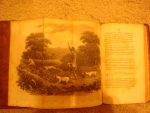 `DANIEL'S RURAL SPORT (Cельская охота Даниэля)` W.B. Daniel. 1807, Лондон