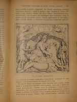 `Иллюстрированная история религий. В двух томах` Пьер Даниэль Шантепи-де-ля Соссе. Москва, Издание магазина  Книжное дело , 1899г.