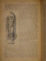 `Иллюстрированная история религий. В двух томах` Пьер Даниэль Шантепи-де-ля Соссе. Москва, Издание магазина  Книжное дело , 1899г.