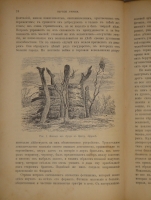 `Иллюстрированная история религий. В двух томах` Пьер Даниэль Шантепи-де-ля Соссе. Москва, Издание магазина  Книжное дело , 1899г.