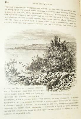 `Жизнь Иисуса Христа` Ф.В.Фаррар. С.-Петербург, 1887