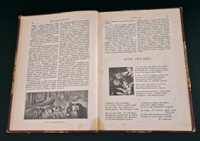 `Сборник этюдов -  Гюи де-Мопассан, Ренан и др.` . [1892 год]