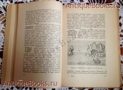 `Кавказ` Сергей Анисимов. Москва, 1930 г.