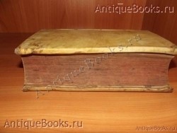 `LEXICON. MANUALE.  CORNELII SCHREVELII` . 1636 год