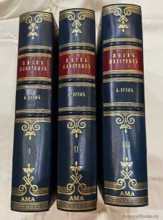 Антикварная книга: «Жизнь животных в трех томах». Альфред Брем. С.-Петербург, Типография "Просвещение", 1902-1903 гг.